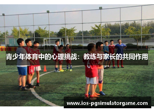 青少年体育中的心理挑战：教练与家长的共同作用
