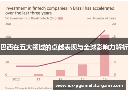 巴西在五大领域的卓越表现与全球影响力解析