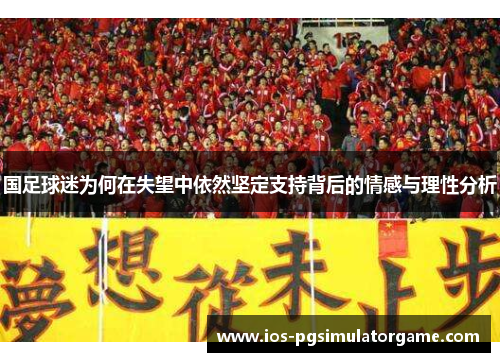 国足球迷为何在失望中依然坚定支持背后的情感与理性分析