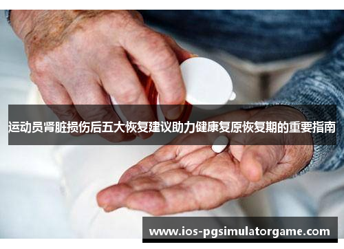 运动员肾脏损伤后五大恢复建议助力健康复原恢复期的重要指南