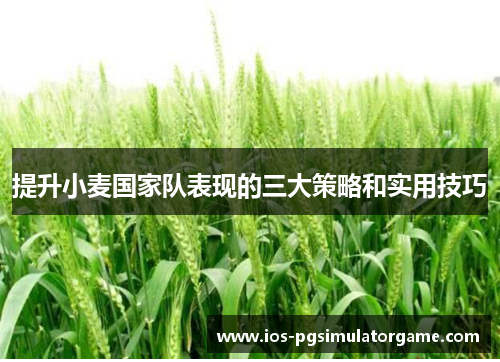 提升小麦国家队表现的三大策略和实用技巧