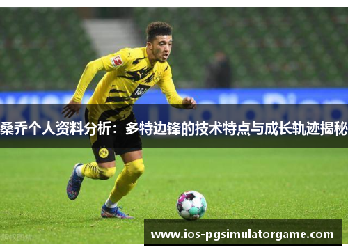 桑乔个人资料分析：多特边锋的技术特点与成长轨迹揭秘